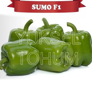 Sumo F1 Dolma Biber Tohumu