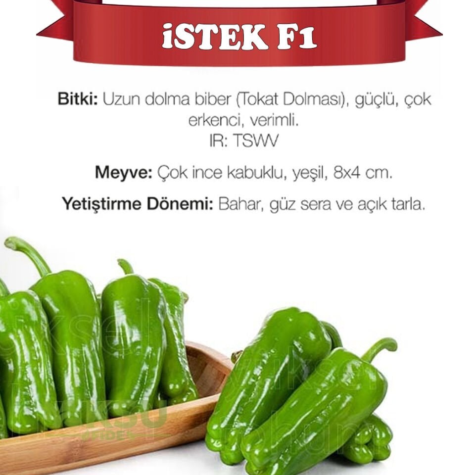 İstek F1 Tokat Dolması Biber Tohumu