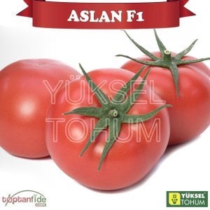 Aslan F1 Sırık Domates Tohumu