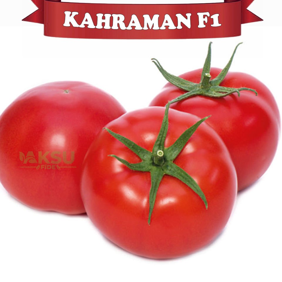 Kahraman F1 Sırık Domates Tohumu