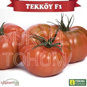 Tekköy F1 Sırık Köy Domatesi Tohumu