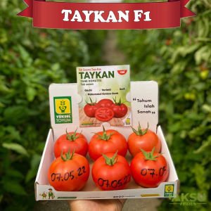 Taykan F1 Güzlük Tek Sezon Domates Fidesi