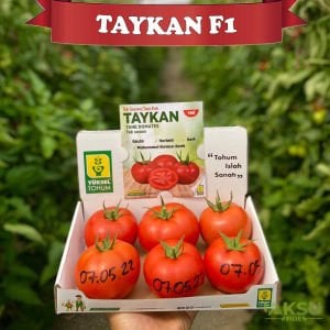 Taykan F1 Güzlük Tek Sezon Domates Tohumu