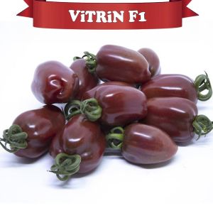 Vitrin F1 - Kahverengi Oval Domates Fidesi