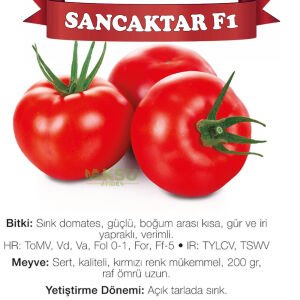 Sancaktar F1 - Sırık Tane Domates Fidesi
