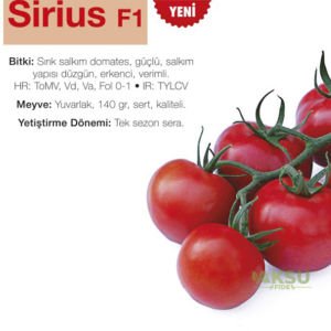 Sirius F1 - Salkım Domates Tohumu