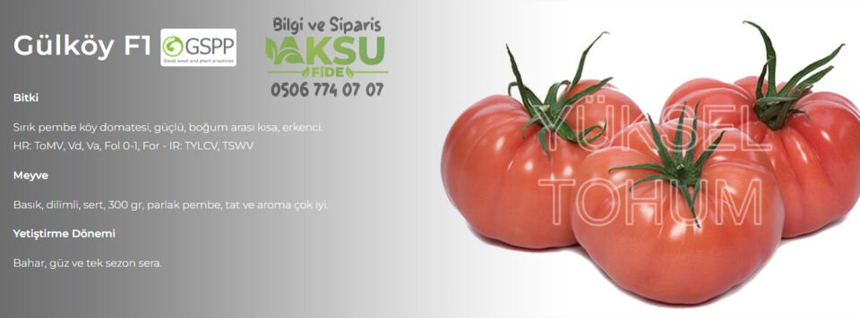 Gülköy F1 Pembe Köy Domates Tohumu