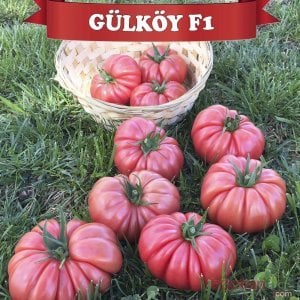 Gülköy F1 Pembe Köy Domates Tohumu