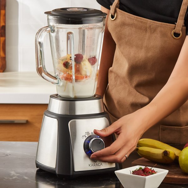Karaca Shaker Inox Smoothie Blender 5001