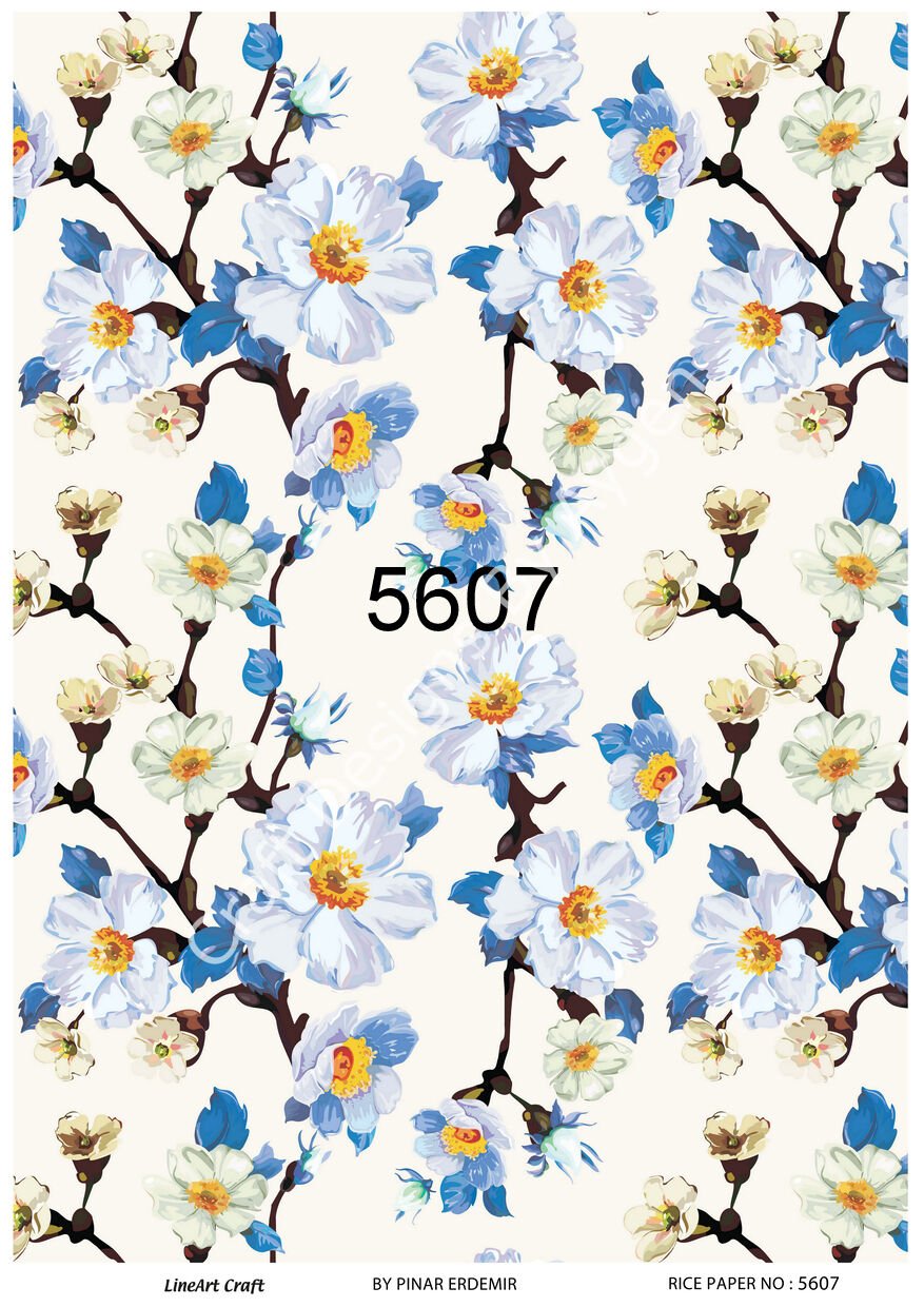 5607