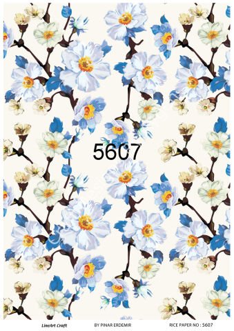 5607