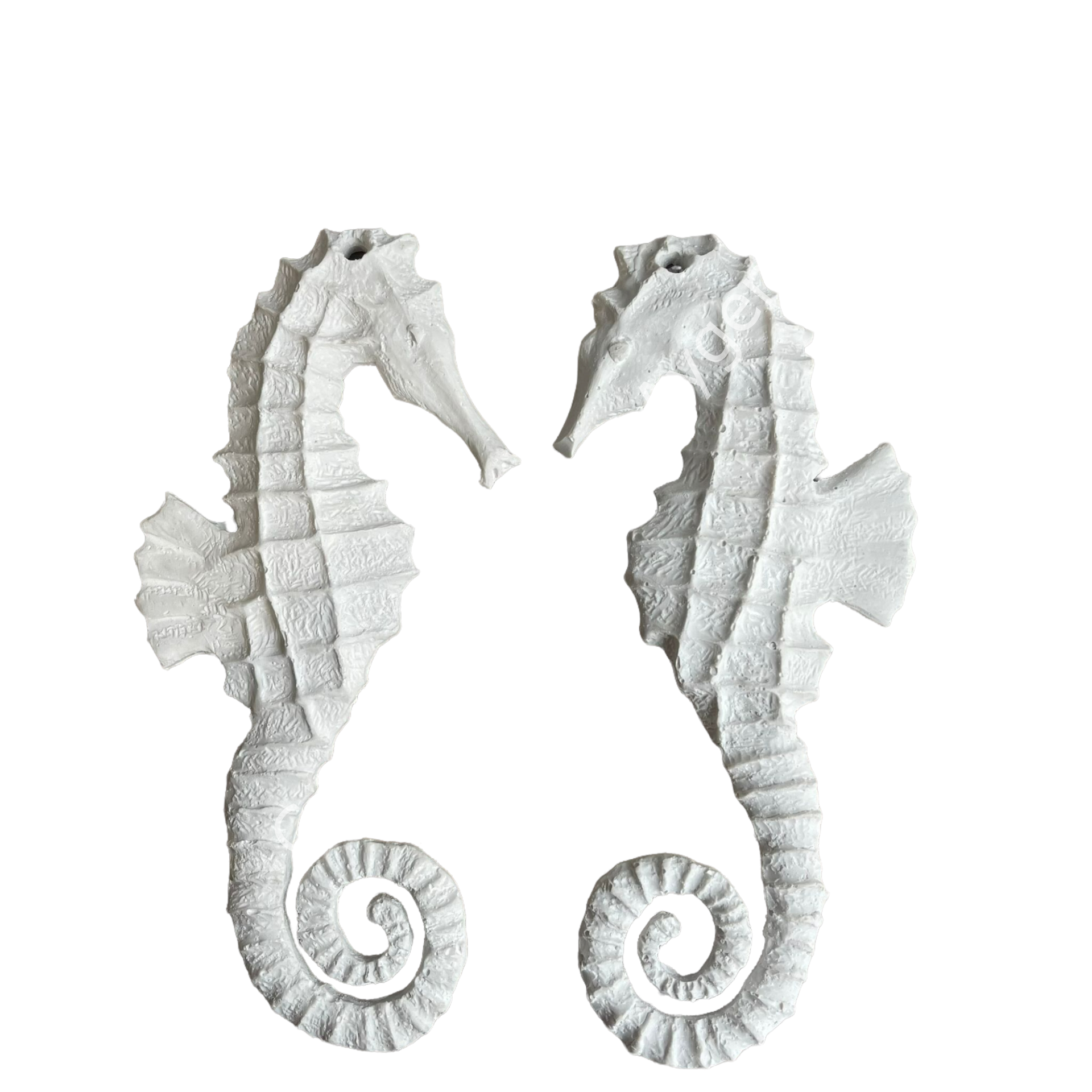 POLYESTER DENİZ ATI 2Lİ TAKIM 22*10CM