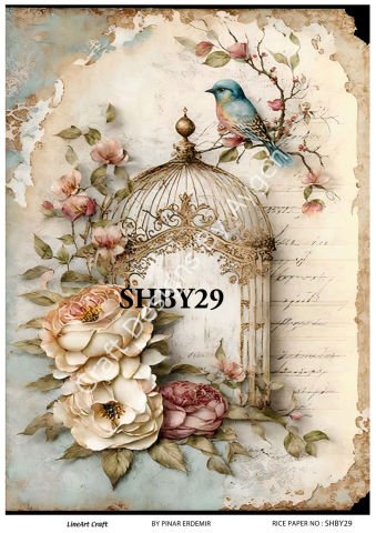 SHBY 29