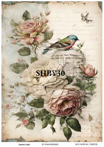 SHBY 30