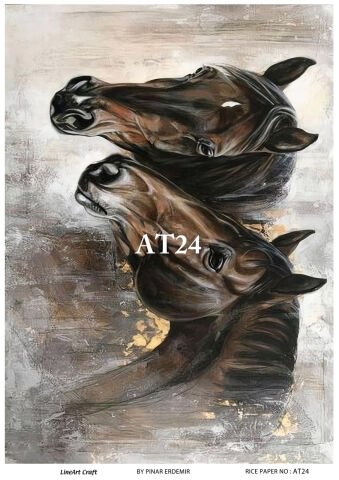 AT 24