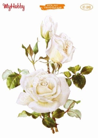 My Hobby KOLAY TRANSFER KT B40