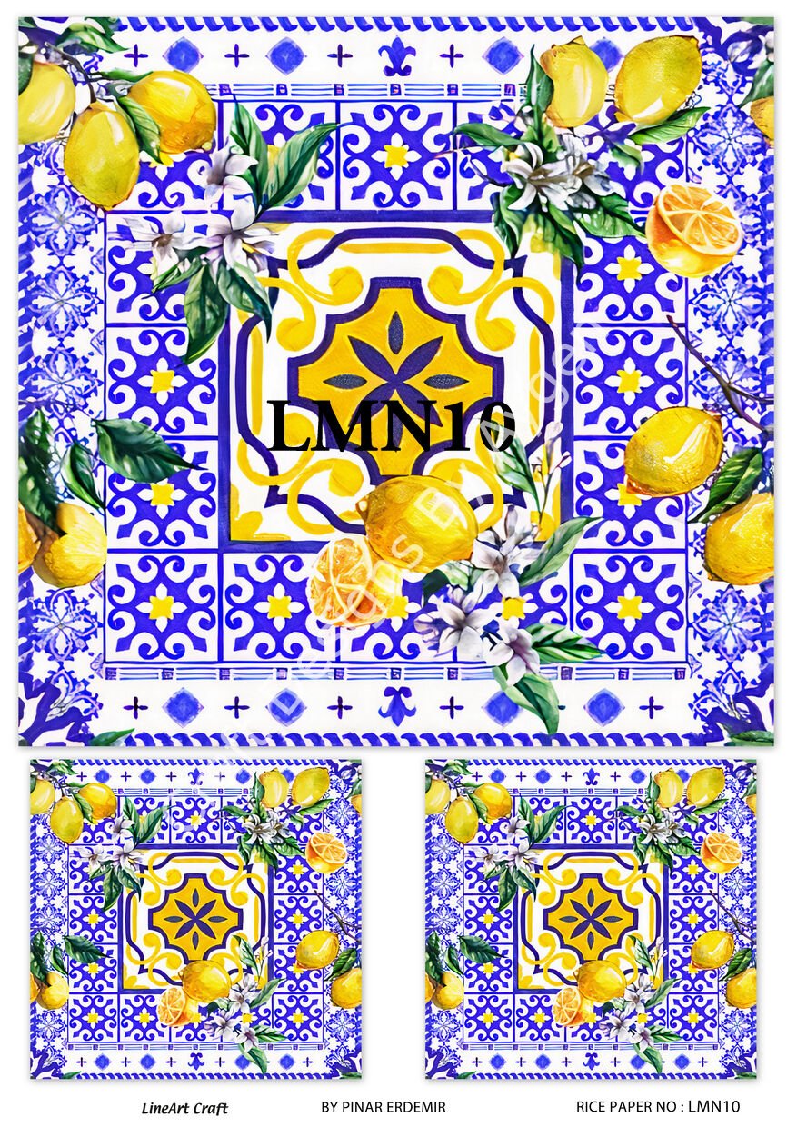 LMN 10