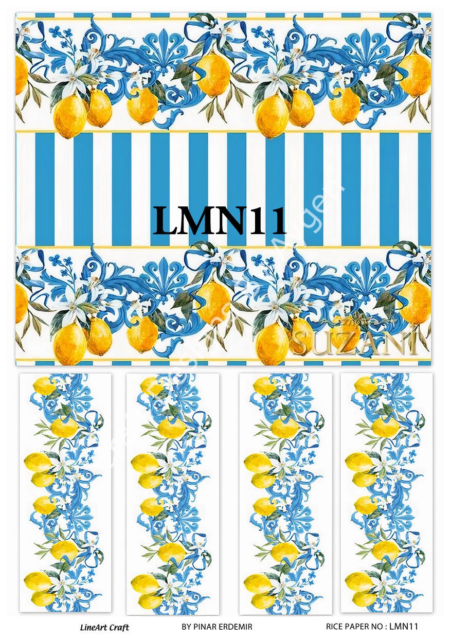 LMN 11