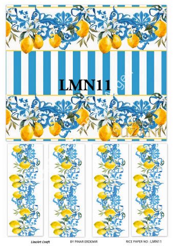 LMN 11