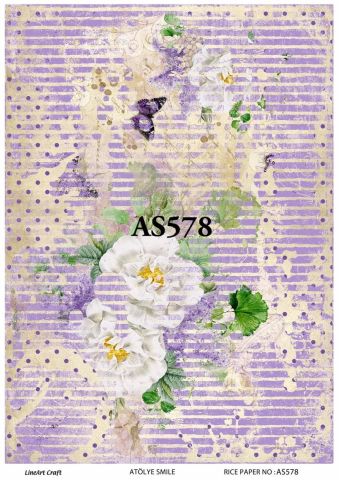 AS 578