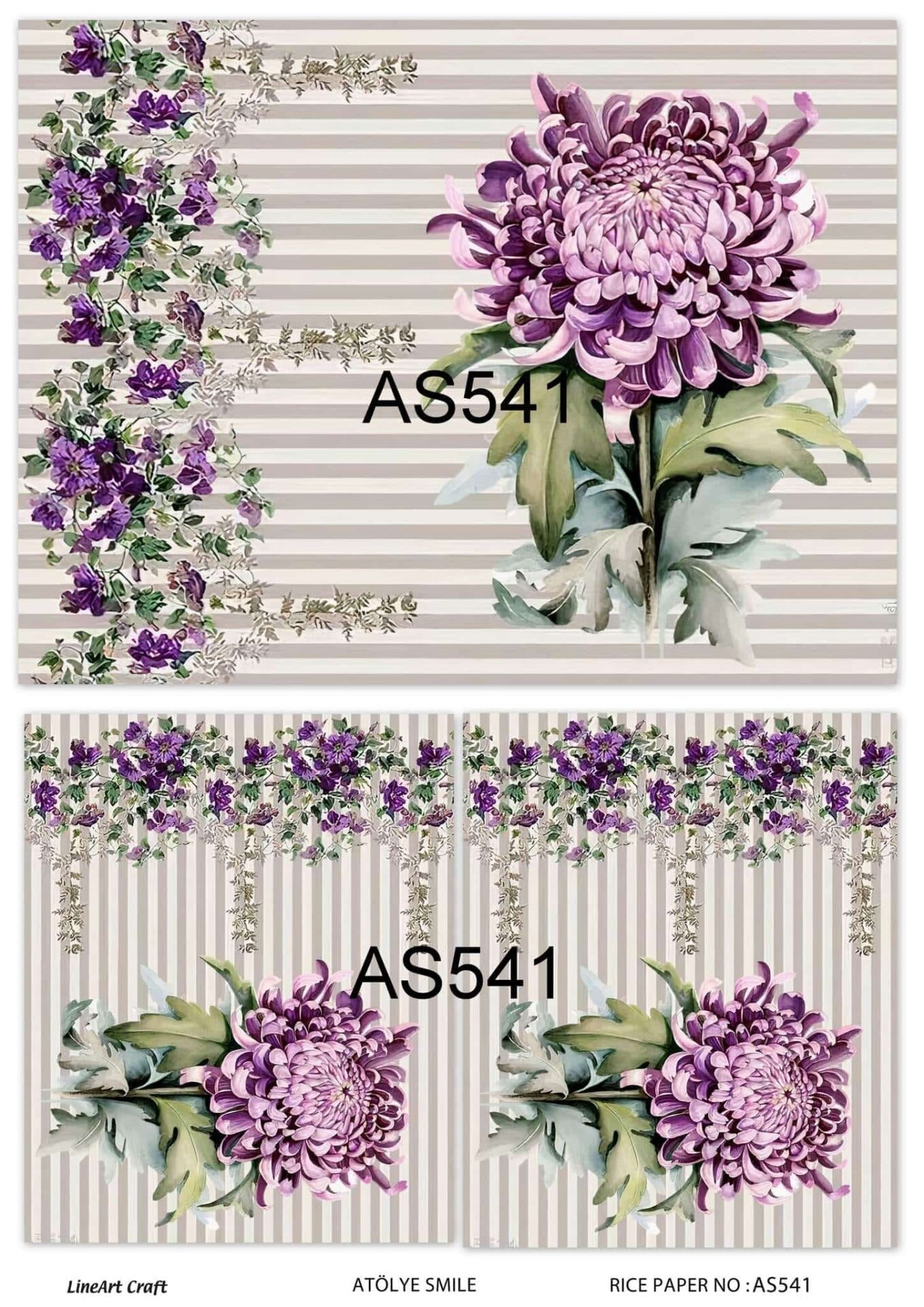 AS 541