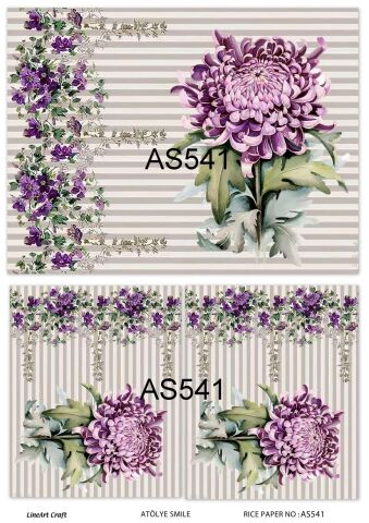 AS 541