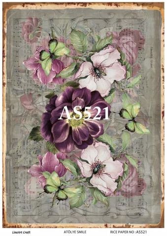 AS 521