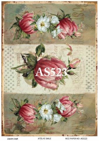 AS 523