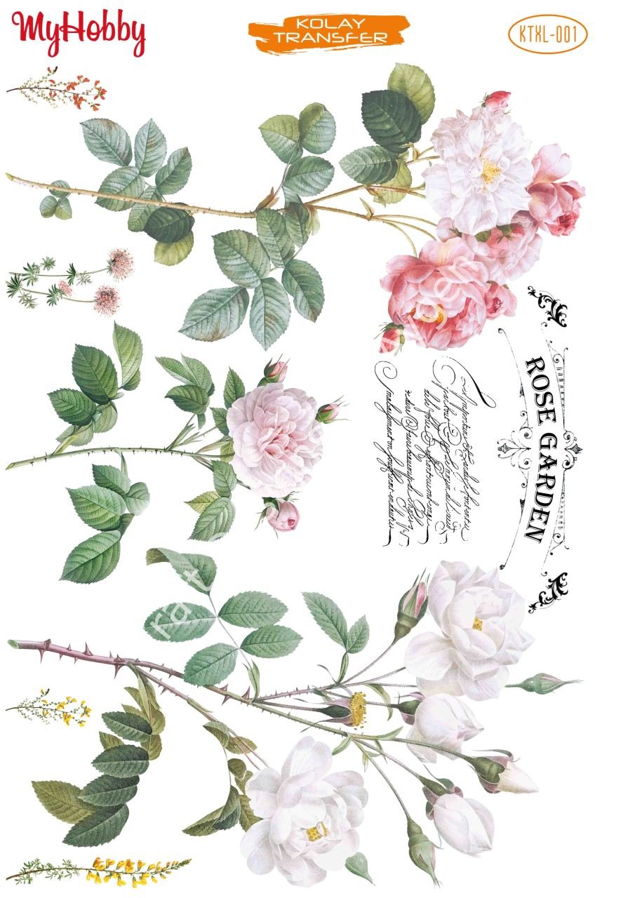 My Hobby KOLAY TRANSFER KT XL001