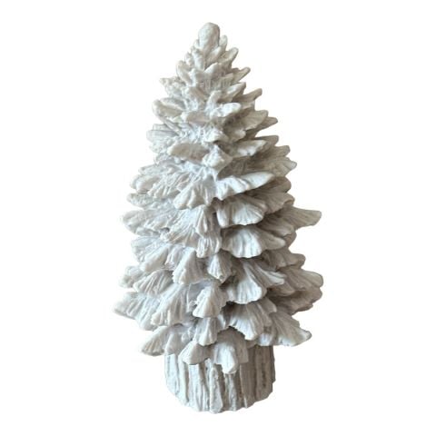 KÜTÜKLÜ ÇAM AĞACI