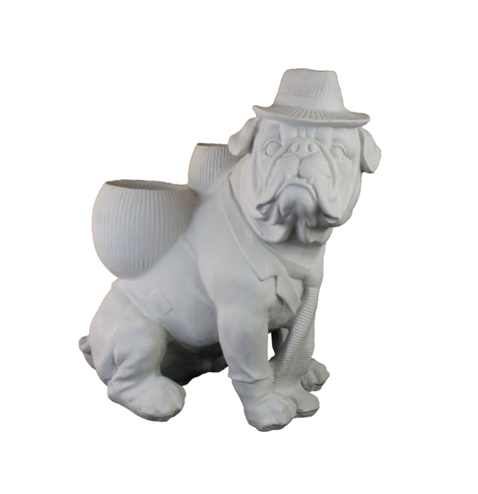 SIRTI SAKSILI KÖPEK