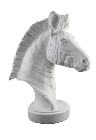 ZEBRA BÜST 42X32 CM
