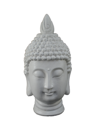 BUDA BÜST ALNI NOKTALI 28X13 CM