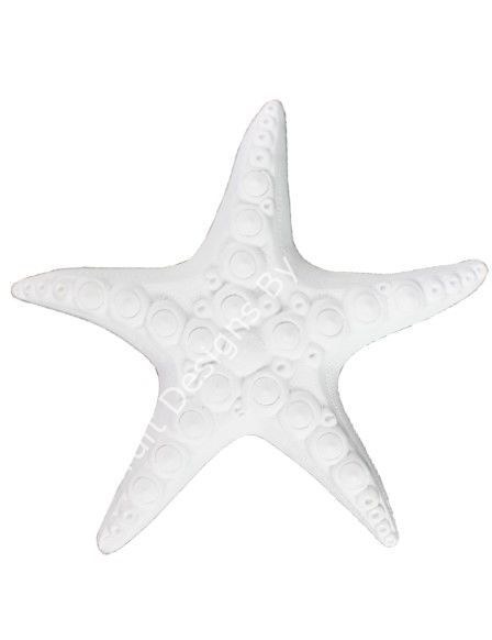 DENİZ YILDIZI 20 X 20 CM