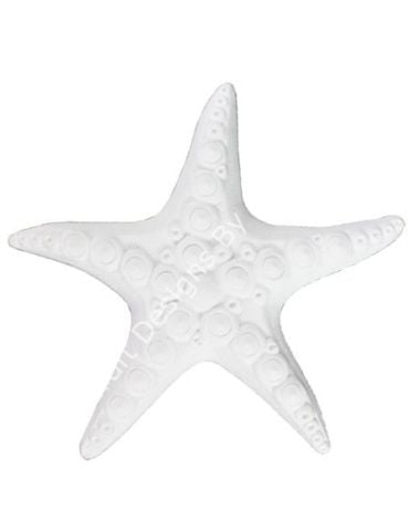 DENİZ YILDIZI 20 X 20 CM