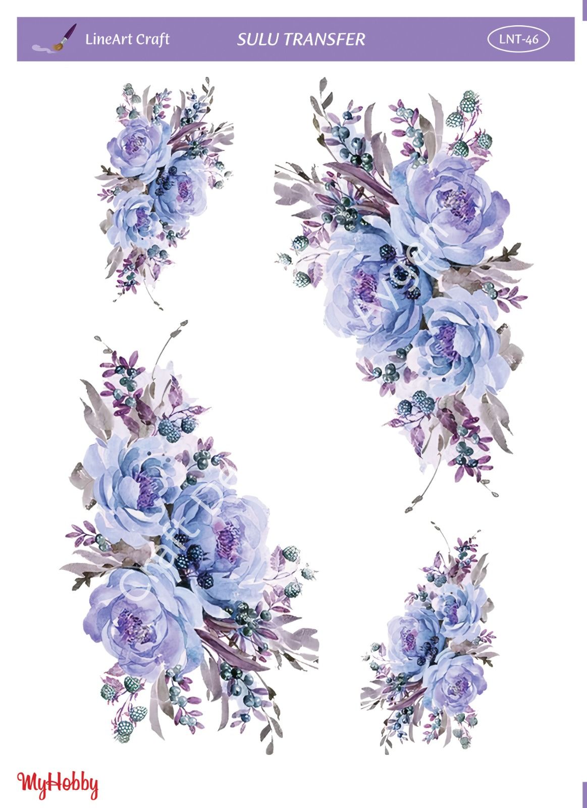 Lineart SULU TRANSFER LNT 46