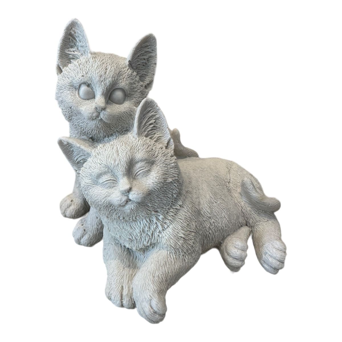 YAVRULU KEDİ