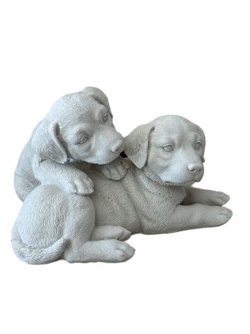 YAVRULU KÖPEK
