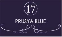 37 ML YAĞLI BOYA 017 PRUSYA BLUE - MAVİ