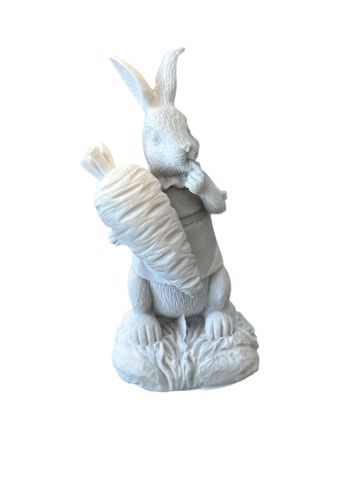 TAVŞAN MİNİK HAVUÇLU