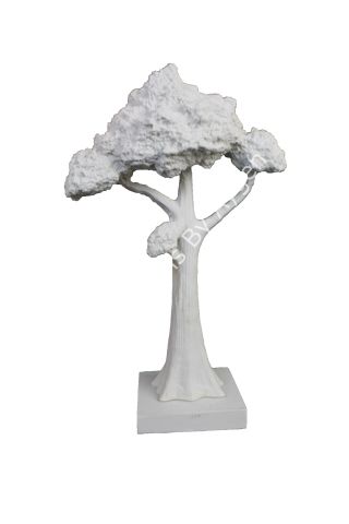 BONSAİ AĞAÇ DİKEY
