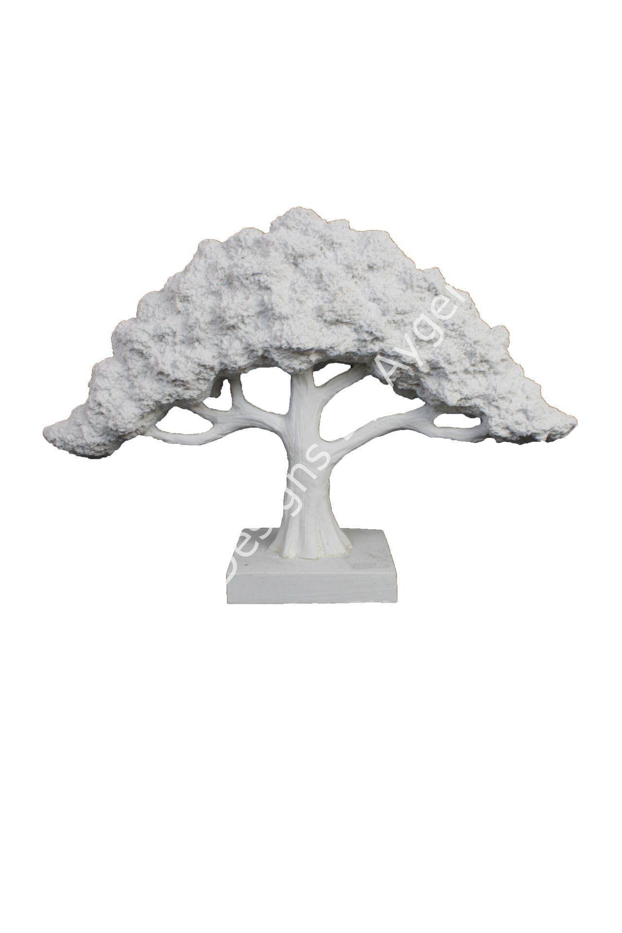BONSAİ AĞAÇ YATAY