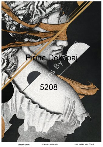 5208