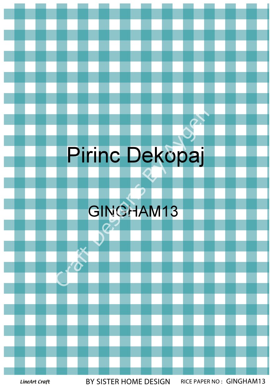 GINGHAM 13