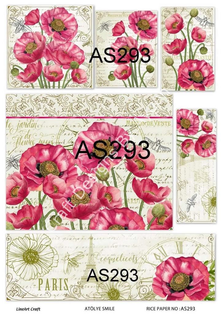 AS 293