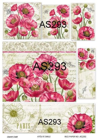 AS 293