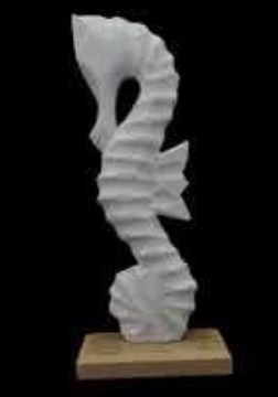 KAİDELİ DENİZ ATI 26X7 CM