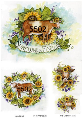 5502