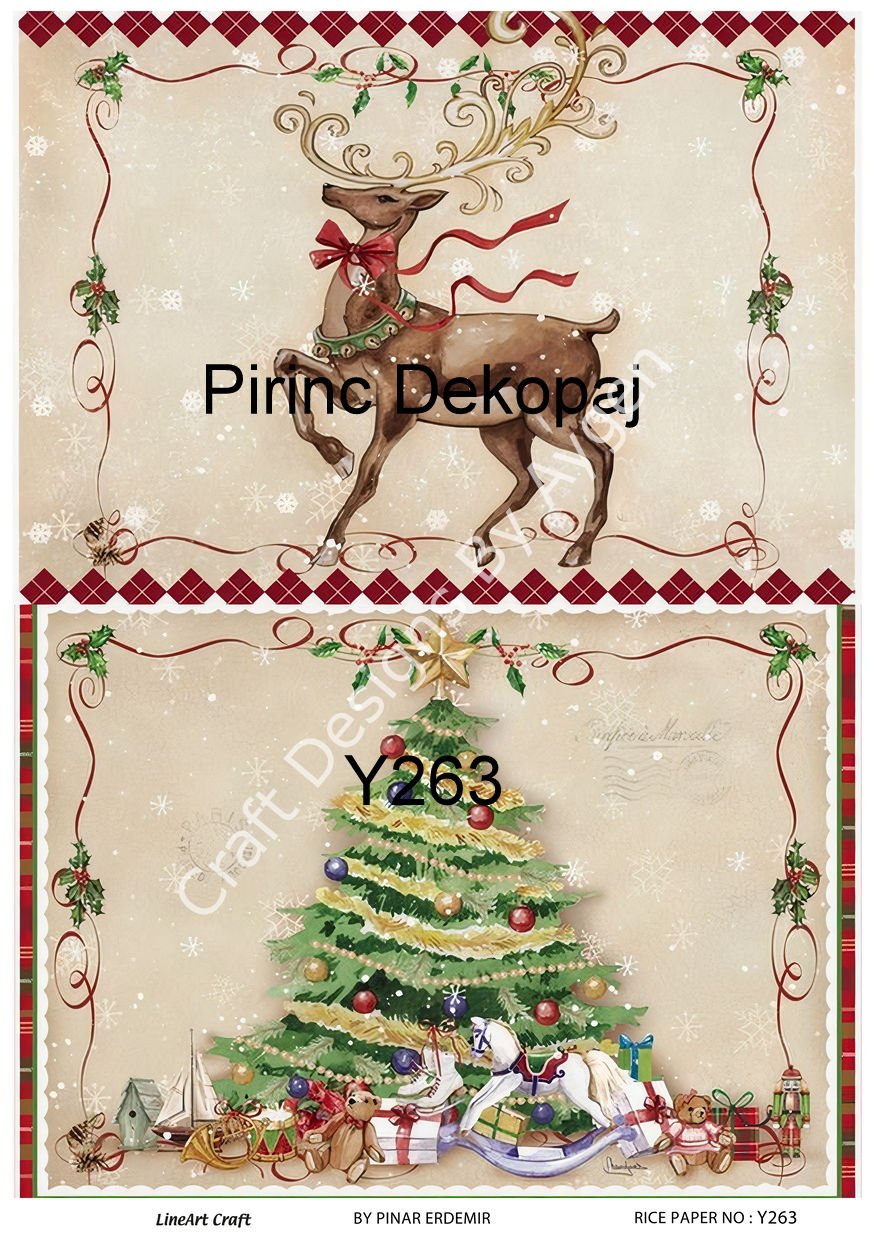 Y 263