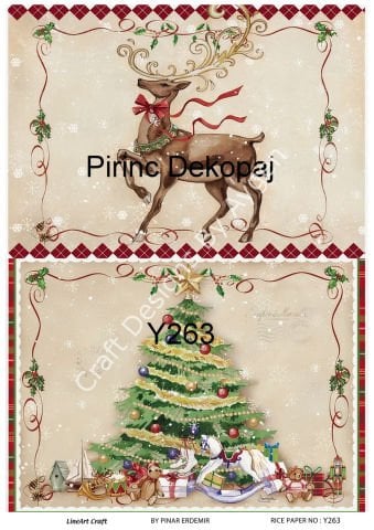Y 263
